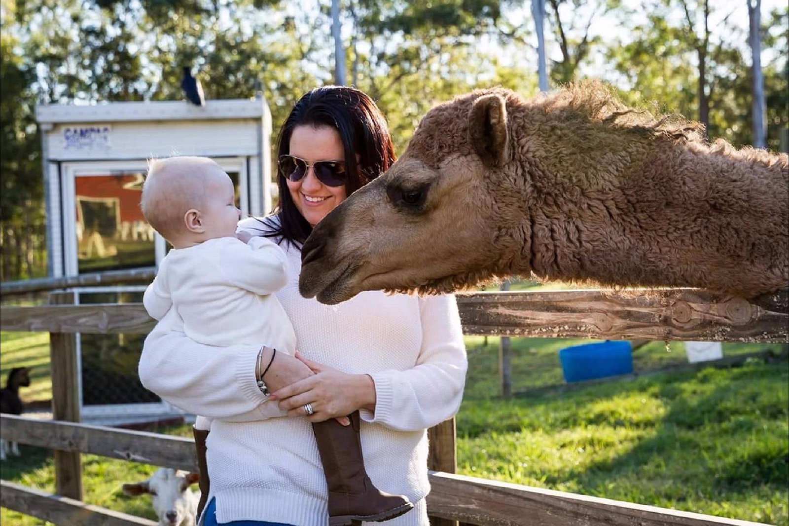 Elimbah QLD Holiday Find