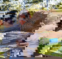 White Ridge Farm - Holiday Find