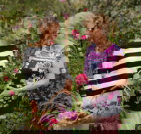 White Cottage - Holiday Find