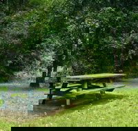 Williams River picnic area - Holiday Find