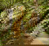William Ricketts Sanctuary - Holiday Find