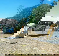 150th Meridian - Holiday Find