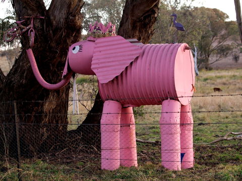 Animals On Bikes - Holiday Find 0