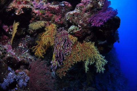 Around The Bend Dive Site - Holiday Find 0