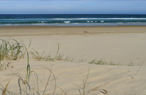 Bongil Beach - Holiday Find 0