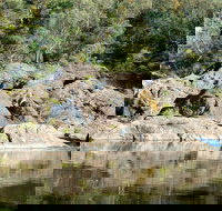 Boonoo Boonoo National Park - Holiday Find