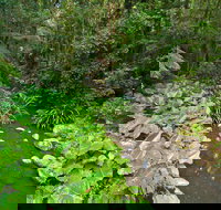 Brindle Creek Picnic Area - Holiday Find