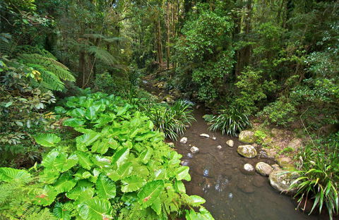Brindle Creek Picnic Area - Holiday Find 0