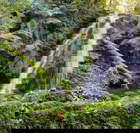 Cascades Walking Track - Holiday Find