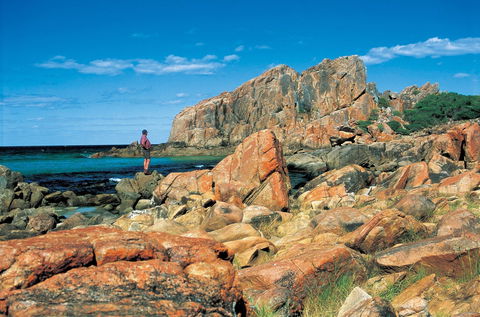 Castle Bay - Holiday Find 1