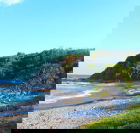 Clay Head - Holiday Find