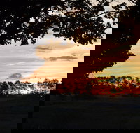 Dangar's Lagoon and Racecourse Lagoon - Holiday Find