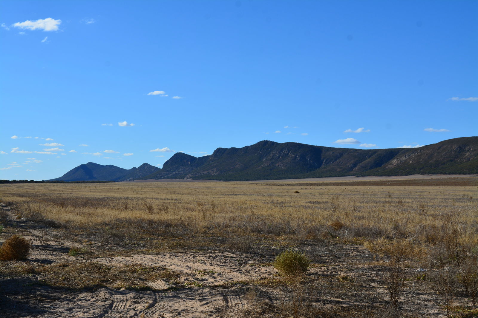 Darke Peak SA Holiday Find
