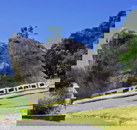 Dog Rock - Holiday Find