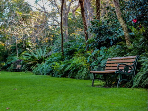 EG Waterhouse National Camellia Gardens - Holiday Find 0