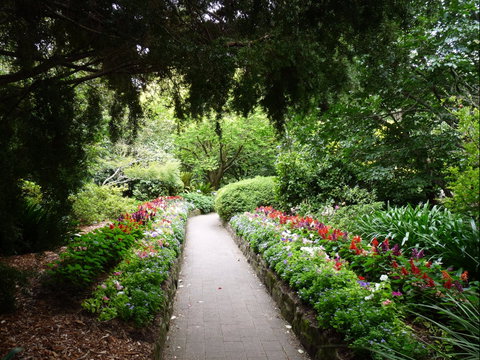 EG Waterhouse National Camellia Gardens - Holiday Find 1