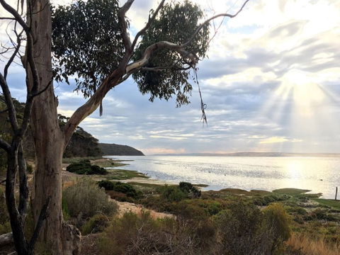 Fish Cannery Walking Trail - Holiday Find 0