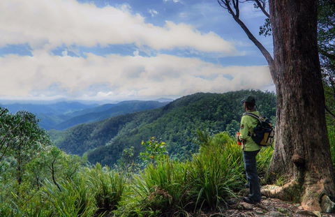Gloucester Falls Walking Track - Holiday Find 0