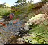 Gold Panning Deep Creek - Holiday Find