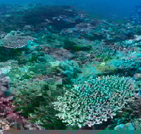 Hanging Rock Dive Site - Holiday Find