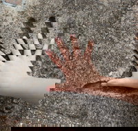 Hands of Fame Park - Holiday Find