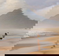 Hawks Nest - Holiday Find