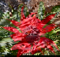 Inverawe Native Gardens - Holiday Find
