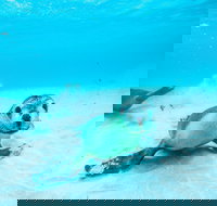 Jurien Bay - Holiday Find