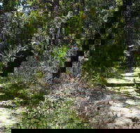 Karloo Walking Track - Holiday Find