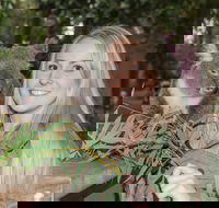 Koala Park Sanctuary - Holiday Find