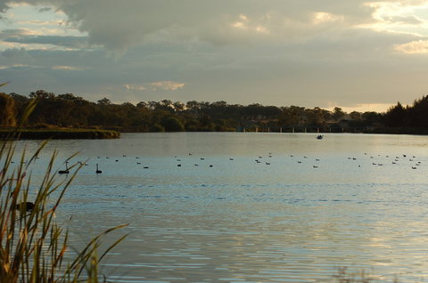 Lake Inverell Reserve - Holiday Find 0