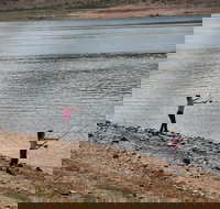 Lake Wyangala - Holiday Find