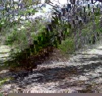 Lanky's Walk - Holiday Find