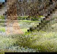 Leaghur State Park - Holiday Find