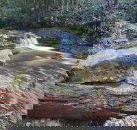 Liffey Falls Reserve - Holiday Find
