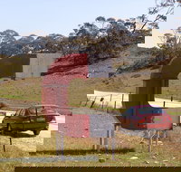 Magnetic Hill - Holiday Find