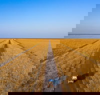 Matilda Way - Holiday Find