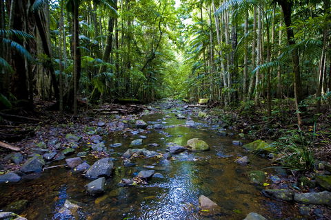 Nambucca Valley - Holiday Find 0