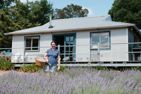 Nannup Lavender Farm - Holiday Find 1