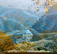 Point Lookout Walking Track - Holiday Find