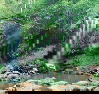 Tamborine National Park - Holiday Find