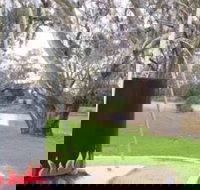 Trangie Big Billy - Holiday Find