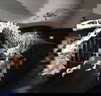 UNE Natural History Museum - Holiday Find