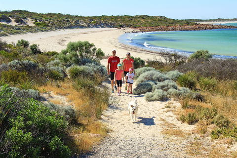 Walk The Yorke Trail - Holiday Find 1