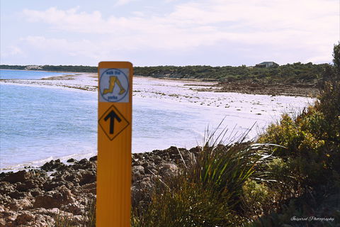 Walk The Yorke Trail - Holiday Find 2