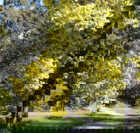 Wattle Park - Holiday Find