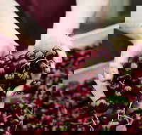 Yarra Valley Cherries - Holiday Find