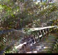 Awaba Bay Foreshore Walk - Holiday Find