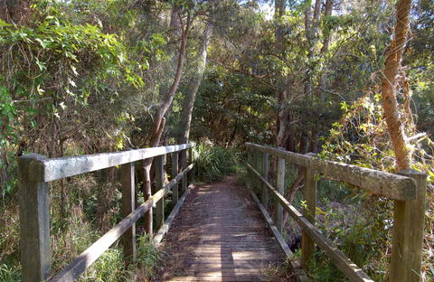Awaba Bay Foreshore Walk - Holiday Find 0