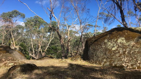 Bailey's Rocks - Dergholm State Park - Holiday Find 0